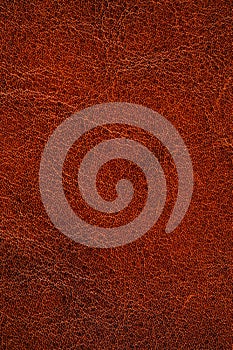 High resolution brown leather texture