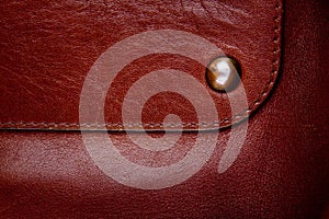 High resolution brown leather texture