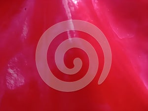 Glossy Red Anthurium Flower Close-Up with Vibrant Background photo
