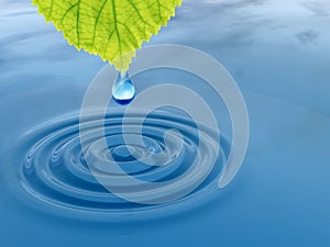 Water or dew drop falling from a green fresh leaf on a blue clear water making waves