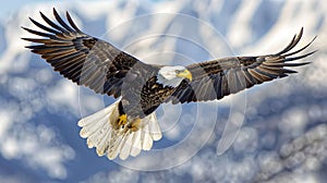 Soaring eagle against a backdrop of mountains. photo