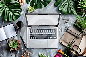 Modern Workspace with Laptop and Greenery