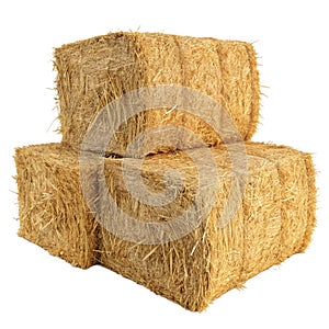 Stack of Two Golden Yellow Rectangular Straw Bales Isolated on White Background