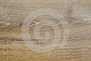 High resolution natural honey oak wood texture