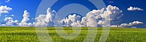 High-resolution panorama for printing photo wallpapers, banners, summer landscape, green field