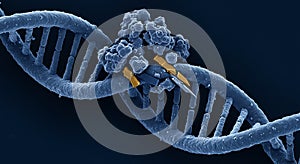 Gene editing process shown on a DNA molecule
