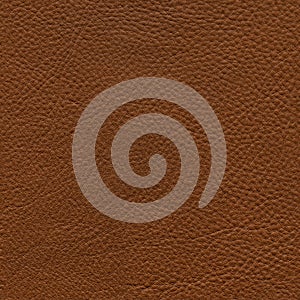 Seamless leather texture