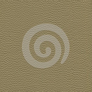 Seamless leather texture