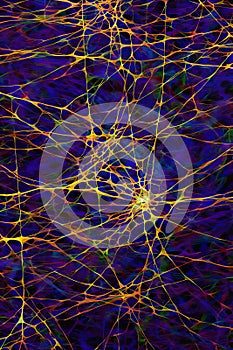 High-resolution visual representation of interconnected neurons transferring vital information
