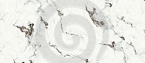 High resolution white curly marble