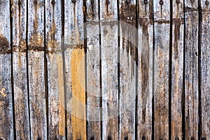 High resolution white grunge wood backgrounds