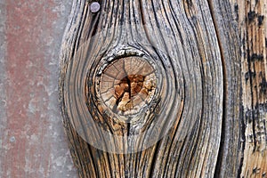 High resolution wooden texture wooden grey brown black white lines branch