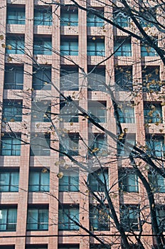 High-rise brown brick tall corporate business office building with dried leave tree in front of the building