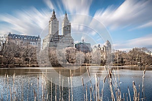 High rise buildings around Central Park with blurry foreground