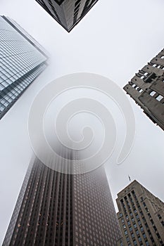 High-rise buildings growning in the foggy sky in Toronto, Canada