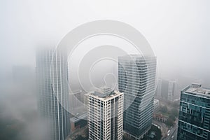 high-rise buildings, modern architecture and towering skylines on a misty morning