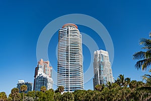 High-rise buildings and palms on blue sky in South Beach, USA