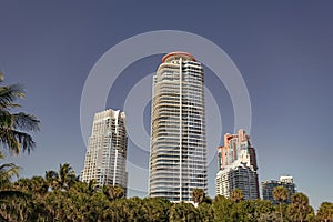 High-rise buildings and palms on blue sky in South Beach, USA