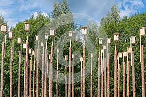 High-rise city of birds nesting boxes