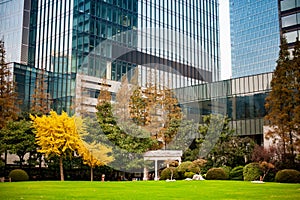 High rise residential areas with downtown view