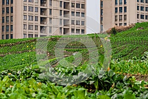 High rise residential areas with rural view