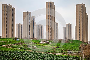 High rise residential areas with rural view
