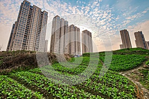 High rise residential areas with rural view