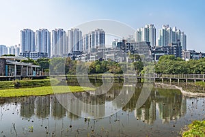 Hong Kong Wetland Park