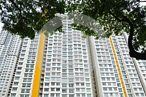 High-rise residential  flat white apartments with some windows open with rain trees forest