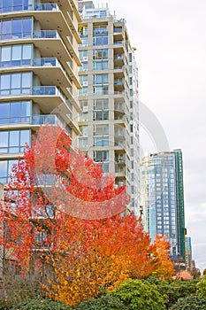 High rise skyline tower autumn