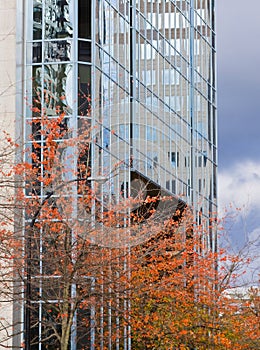 High rise and trees