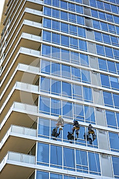 High-rise window washers clean windows as climbers descending and climbing on fixed ropes