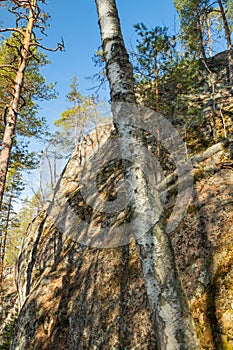 High rock and trees in the national park Repovesi, Finland