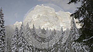 High rocky mountain behind snow-covered forest