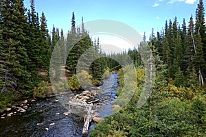 High Rocky Mountain Nature Preserve Forest Stream photo