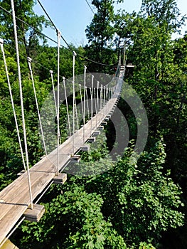 A high rope bridge over the forest floor at Refreshing Mountain Camp