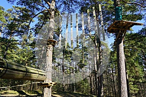 High rope bridge in a pine forest, part of a ropes course