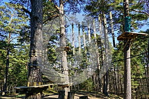 High rope bridge in a pine forest, part of a ropes course