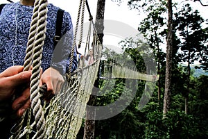 High rope walkway Rope walkway built on tall trees is very spectacular