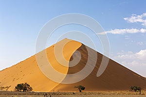 High sand dune in the Namib near Sossusvlei