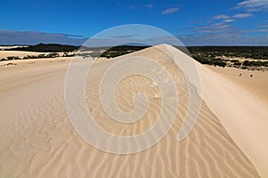 High sand hill ridge with blue sky at Little Sahara white sand d