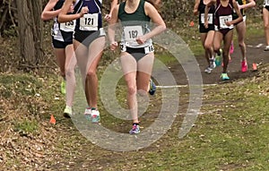 High School girls running a cross country race