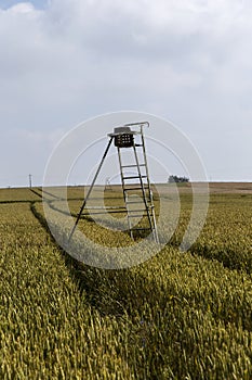 A high seat for the hunters in the arable lands photo