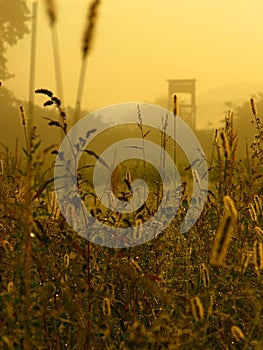 High seat for hunters in the mist at sunrise