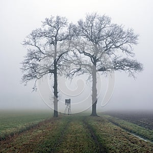 high seat for hunting in green winter field near utrecht in the netherlands on misty winter day