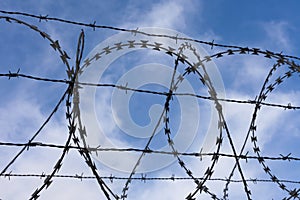 High-Security Fencing