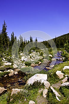 High Sierra Stream