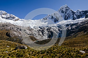 high snowy Taulliraju mountain and green fields of grass in the foreground, in quebrada santa cruz