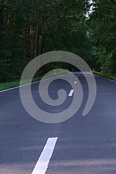 High-speed asphalt road with a white dividing strip goes through a mixed forest, green trees on the sides, concept of travel by