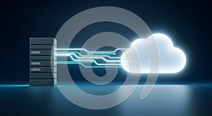 High-Speed Cloud Computing and Data Server Connection for Digital Business and Network Professionals.